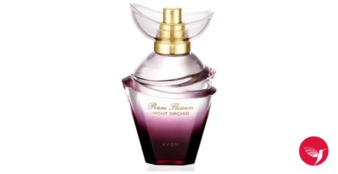 night flower copy perfume